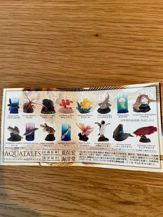 新江ノ島水族館への誘い