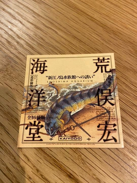 新江ノ島水族館への誘い