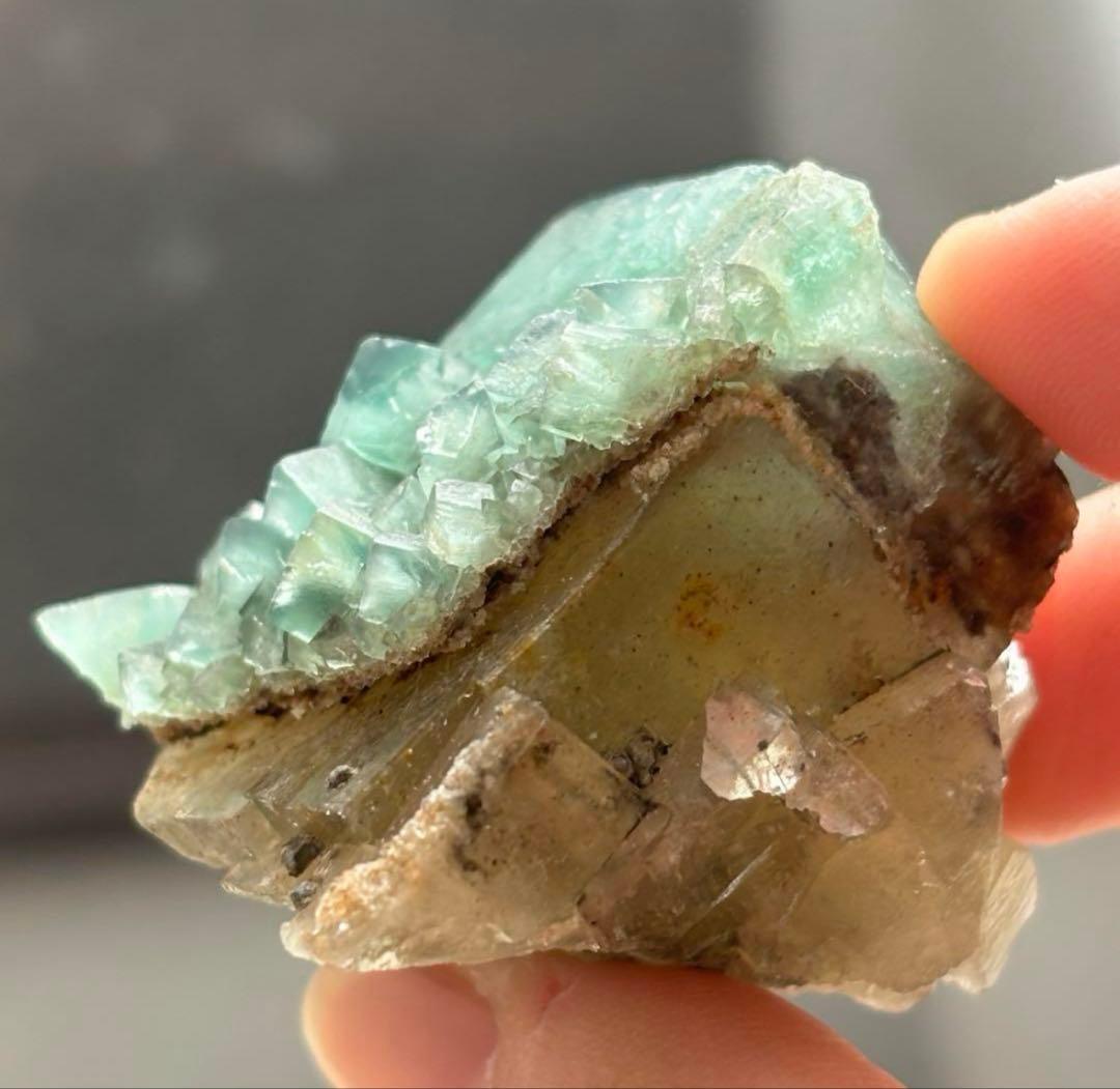 k*g様 レディアナベラ toxic apple pocket フローライト レ 美術品