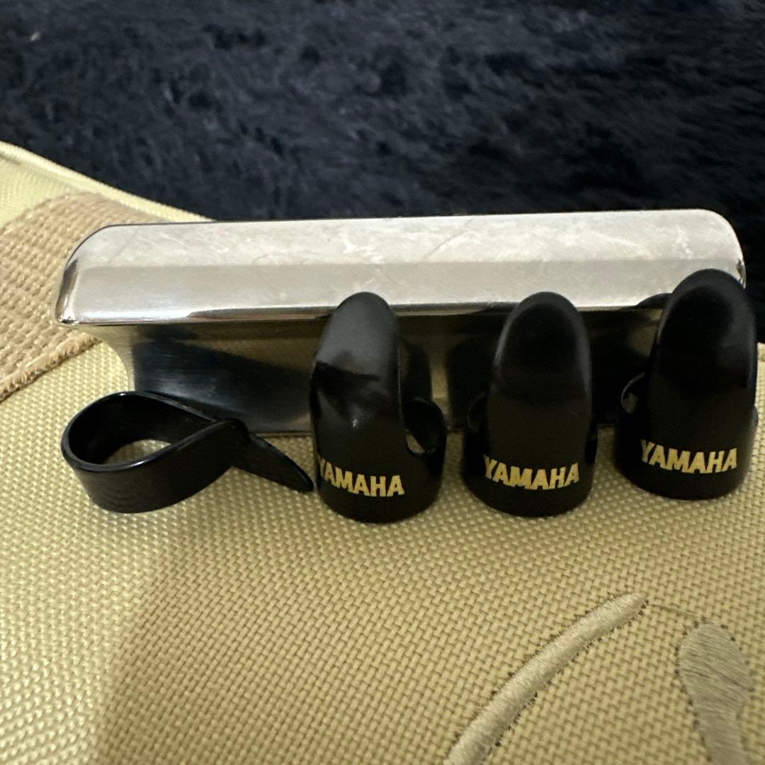 SX LG2 ラップスチールギター ナチュラル ケース スタンド付き