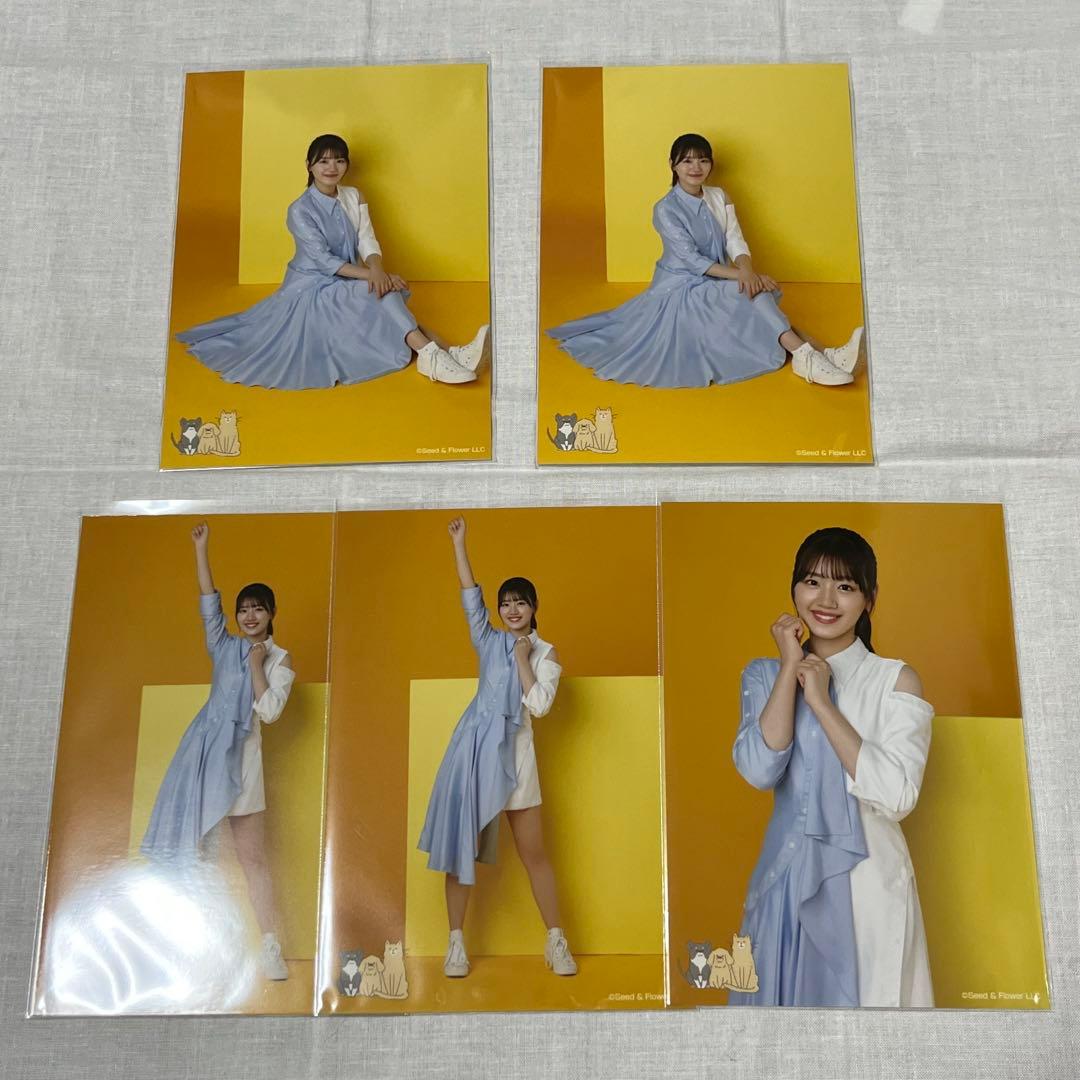 日向坂46 佐々木美玲 生写真 まとめ売り 33枚 - メルカリ 日向坂46 佐々木