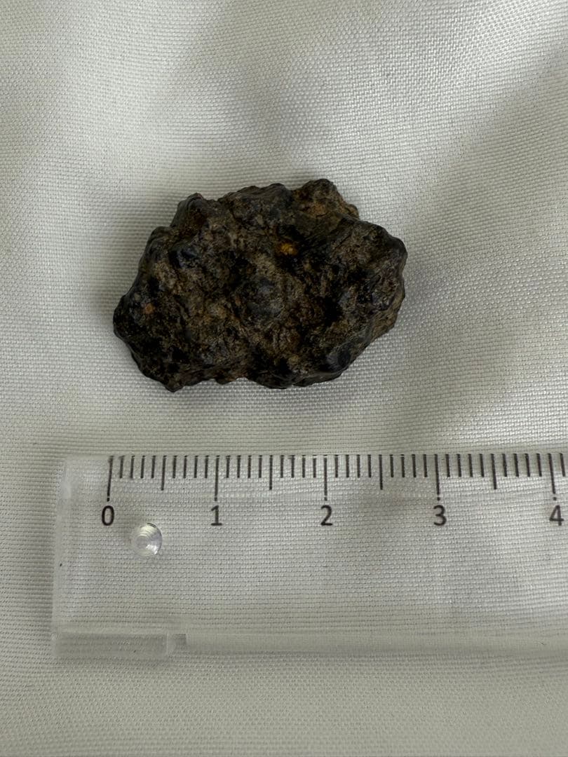 つくしサイエンス 月隕石 月の石 公式隕石名