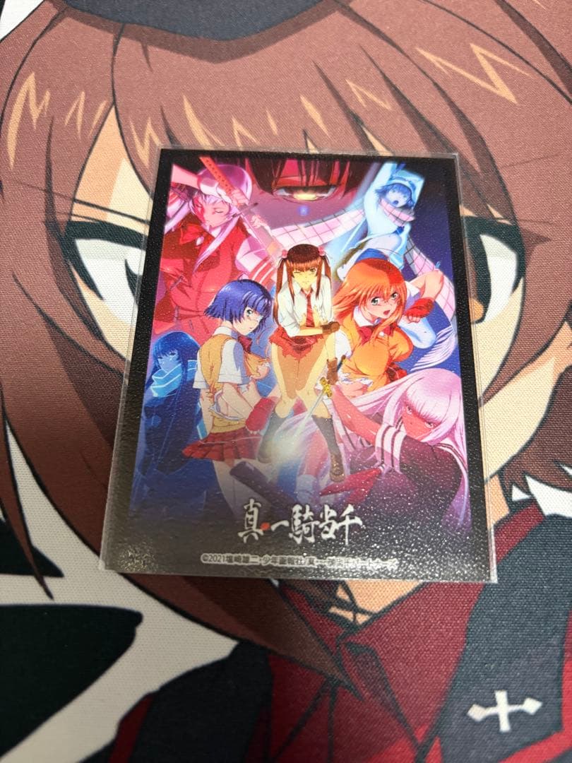 統率者デッキ　巡礼者アシュリング　100枚セット　まとめ　スリーブ装着済　日本語