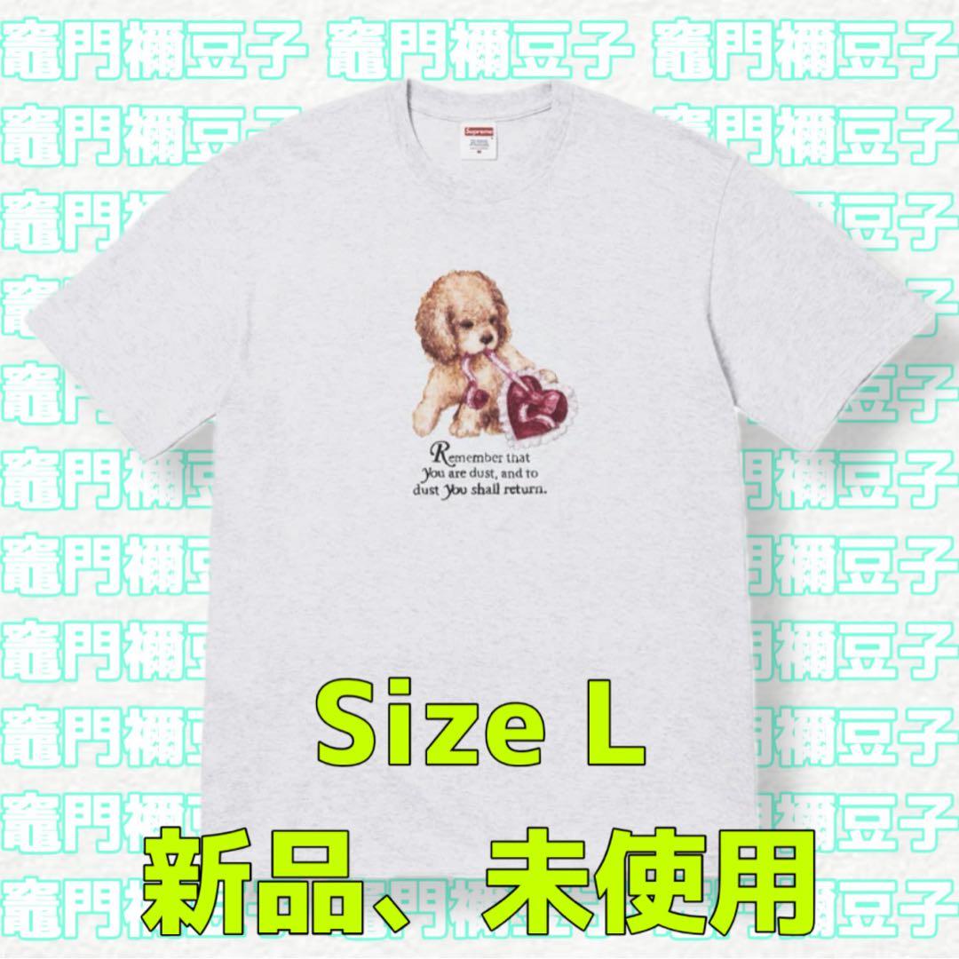 Supreme Dust Tee Ash Grey (L)