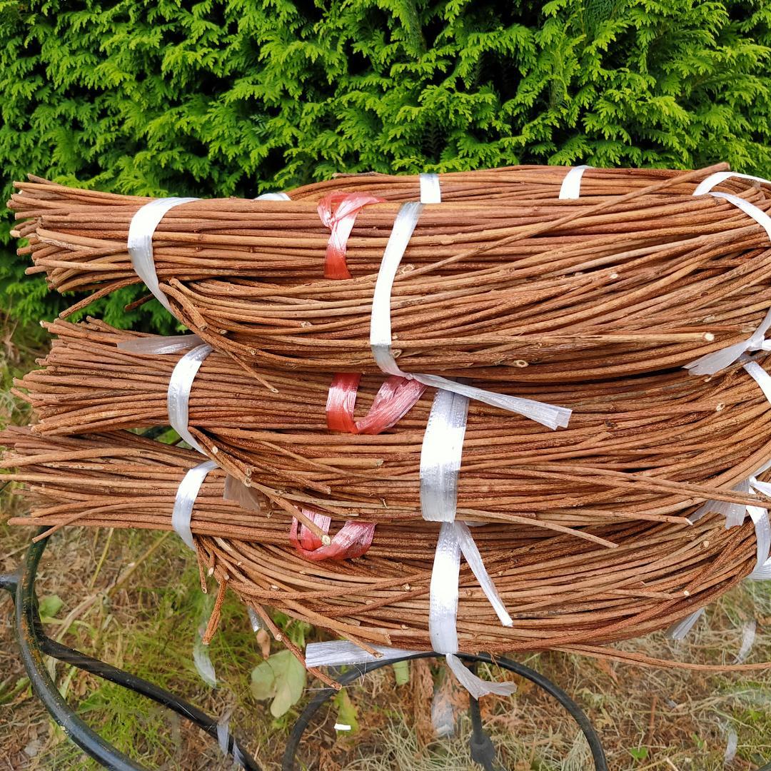 (注)青森県岩木山採取　あけび蔓　150cm～　3kg(依頼品)　2