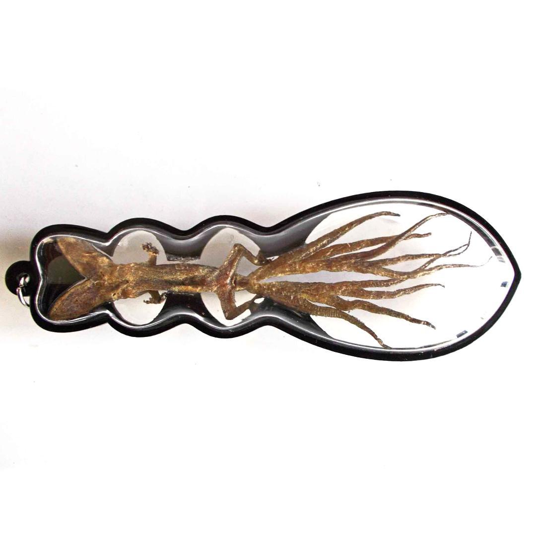 タイ お守り 2頭・9尾のトカゲ ヤモリ 現地購入 プラクルアン