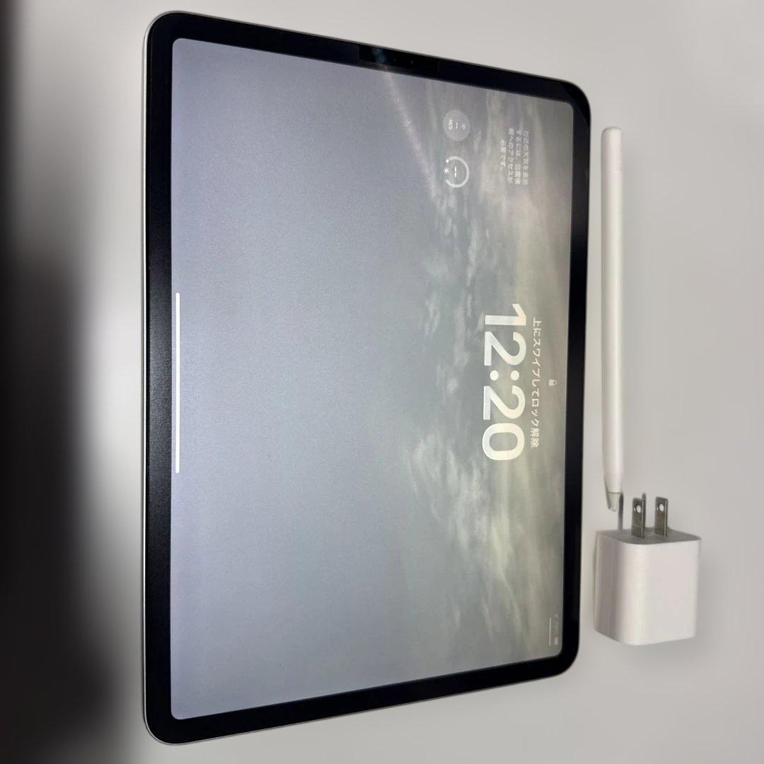 iPad Pro 11インチ256(第一世代)Apple pencil(第二)