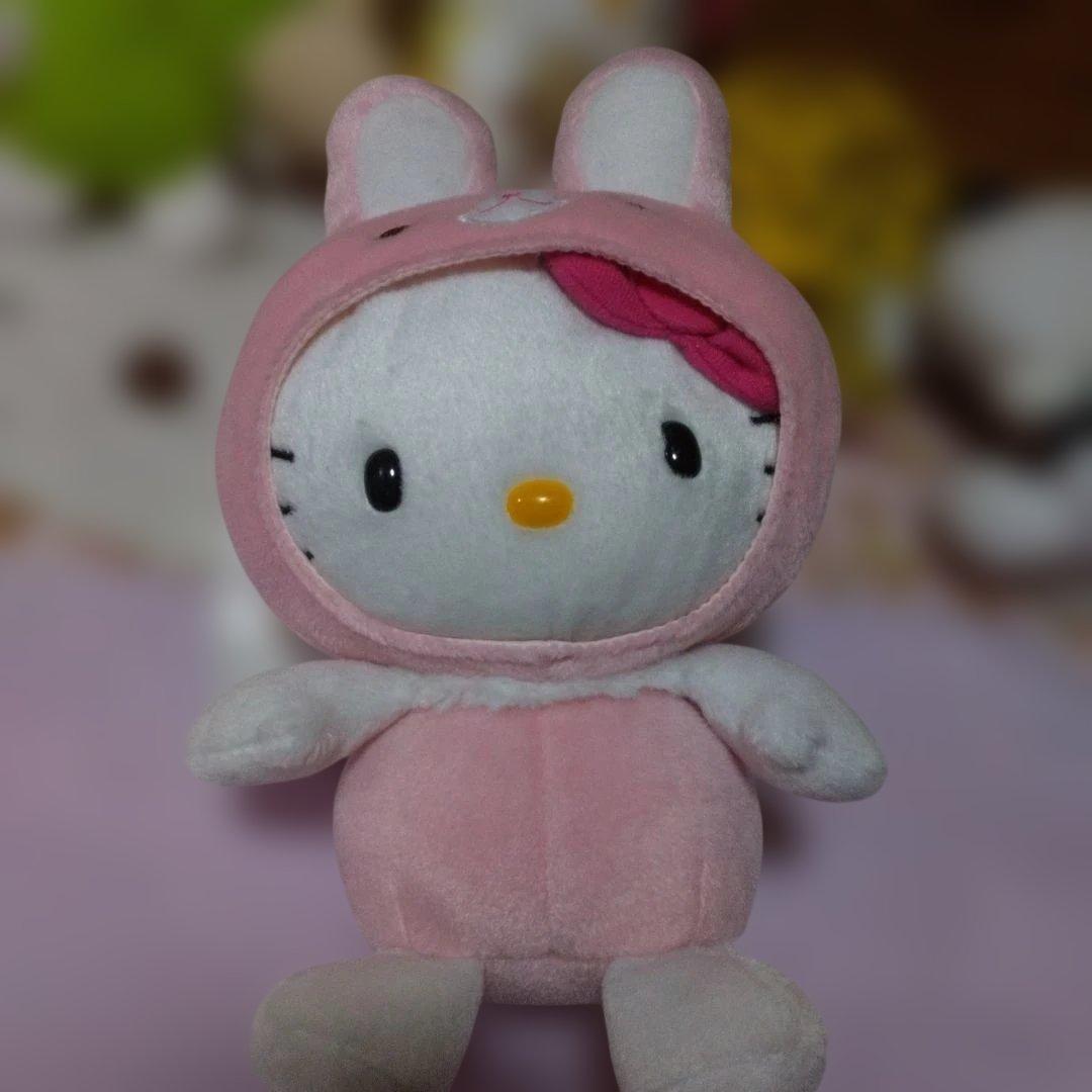 美品‼️可愛い‼️キティ 着ぐるみ１２体セット‼️干支