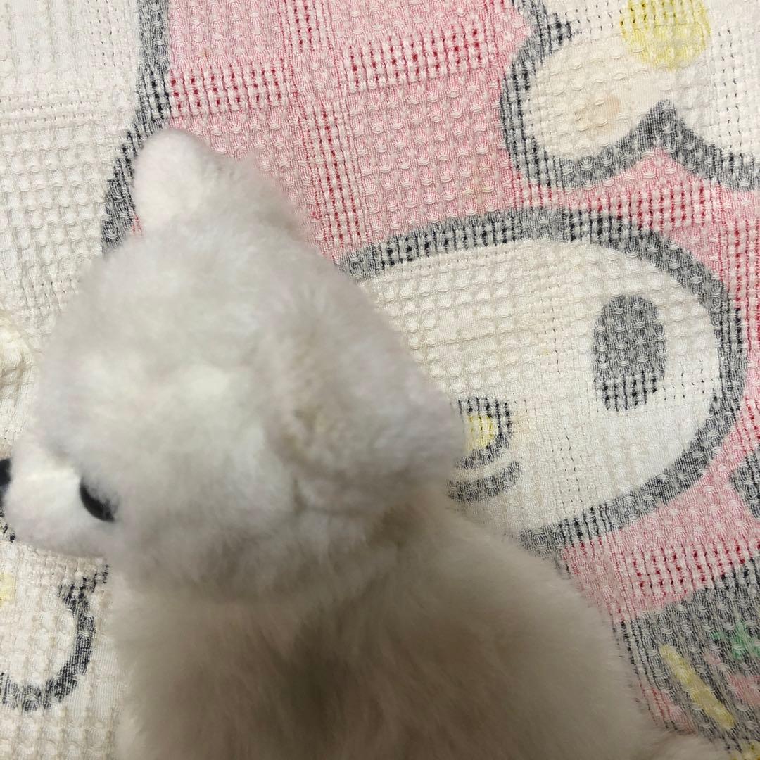 レトロ　チワワ　ぬいぐるみ　中古品　メーカー名不明