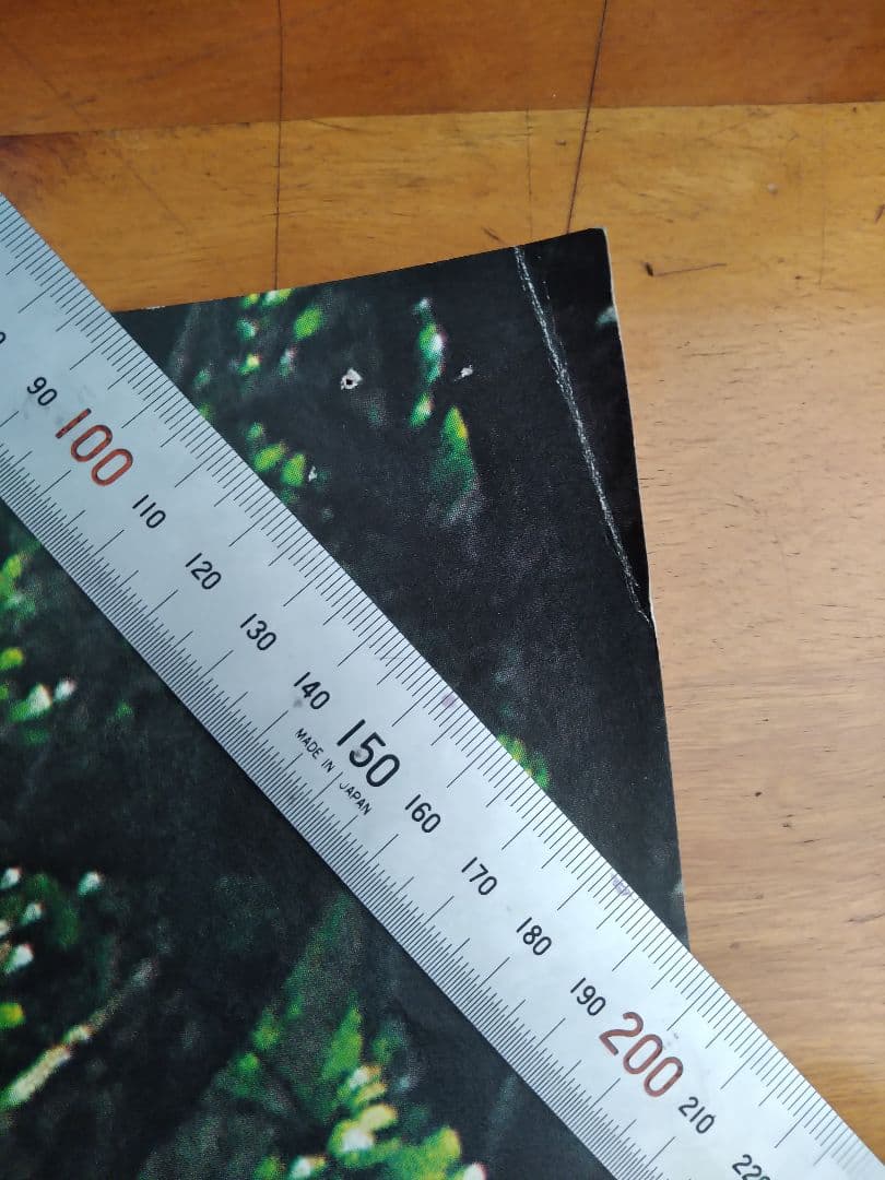 iichiko　いいちこ　ポスター　森　小川　三和酒類麦焼酎広告