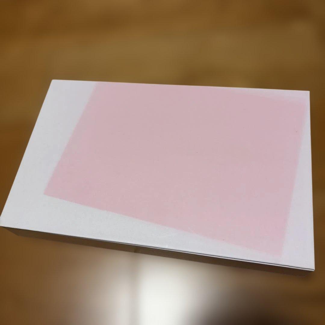 SEVENTEEN セブチ CARAT 韓国ファンクラブ 1期 入会特典 ②