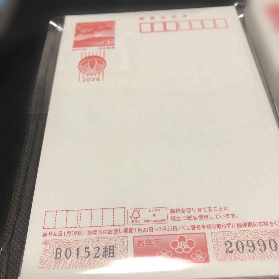 2026年発行 お年玉付きはがき 年賀ハガキ100枚 お年玉袋5枚付き