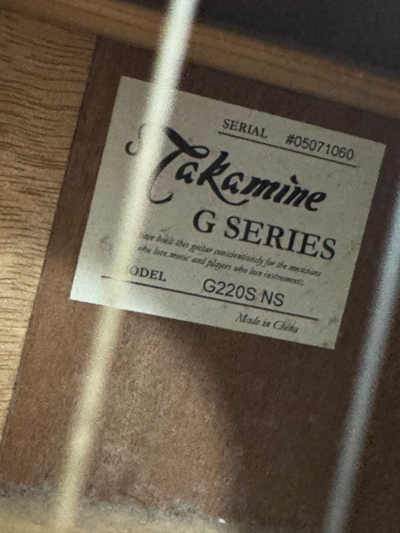 Takamine G Series アコースティックギター早い者勝ち✨ Takamine G