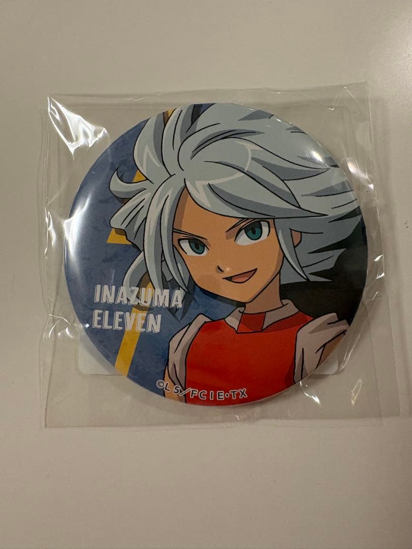 イナズマイレブン くじ引き堂 缶バッジ 涼野風介 - メルカリ
