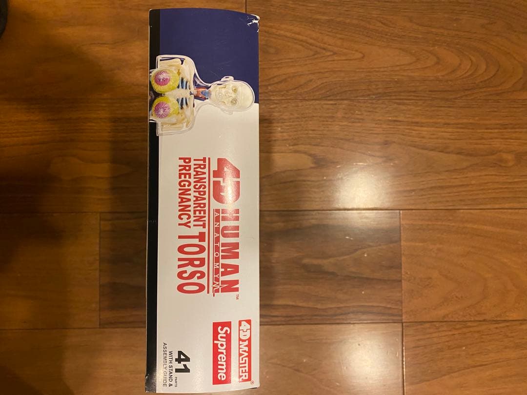 シュプリーム Female Anatomy Model