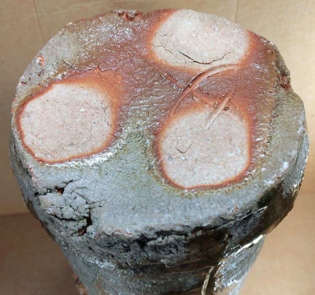 杉本貞光 信楽花入 裏千家十五代 鵬雲斎書付 共箱 美品 寺垣外窯 師:立花大亀