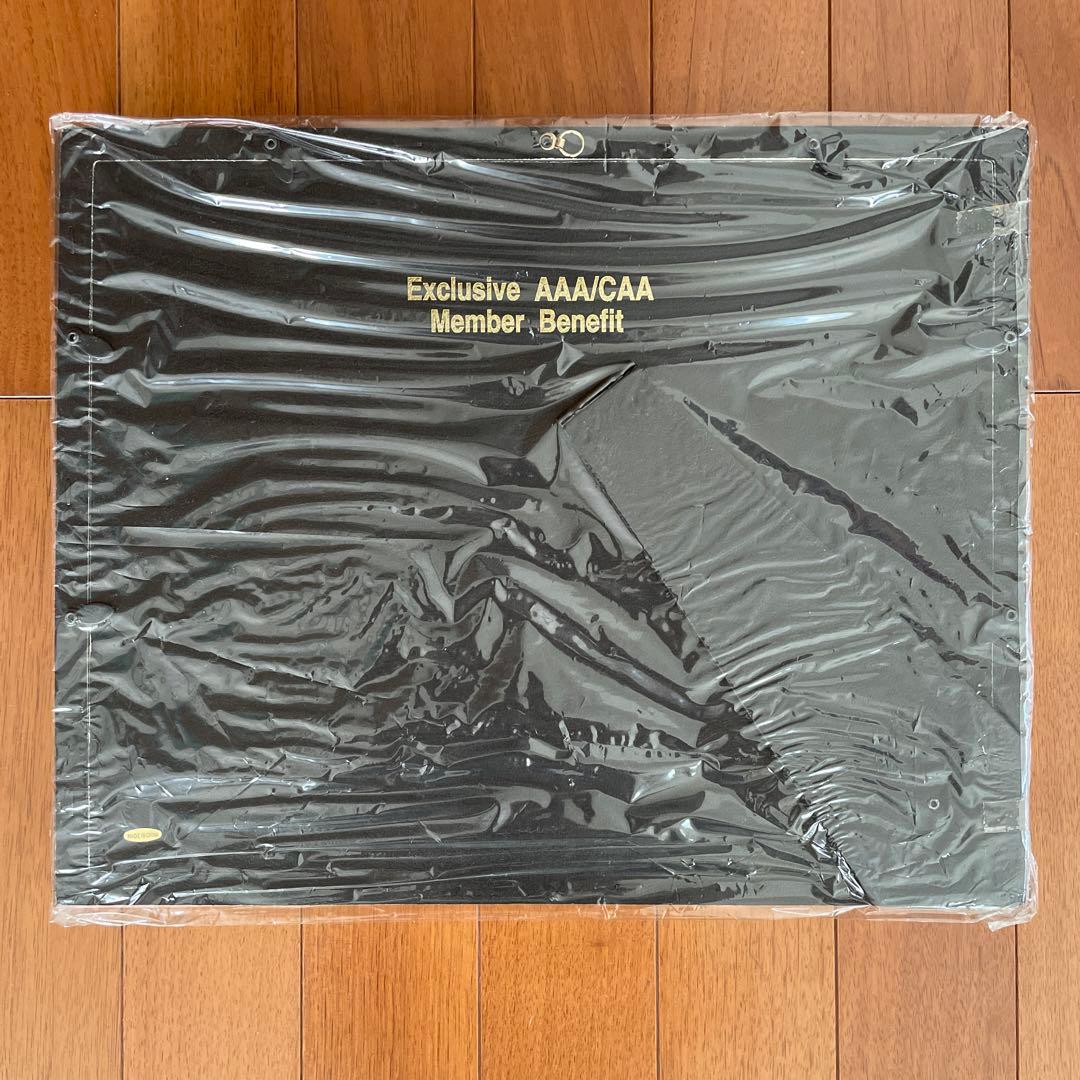 ディズニークルーズ 乗船記念額