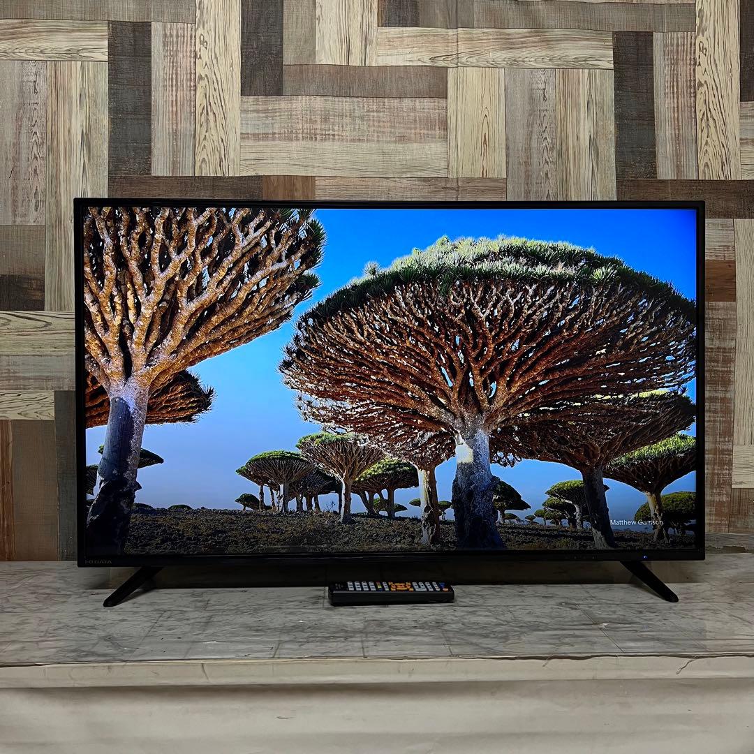 即日受渡❣️全国送料込アイオーデータ43型4K液晶モニター広視野角ブルーライト減 即日発送全国送料込アイオーデータ43型4K液晶モニター広視野角ブルー