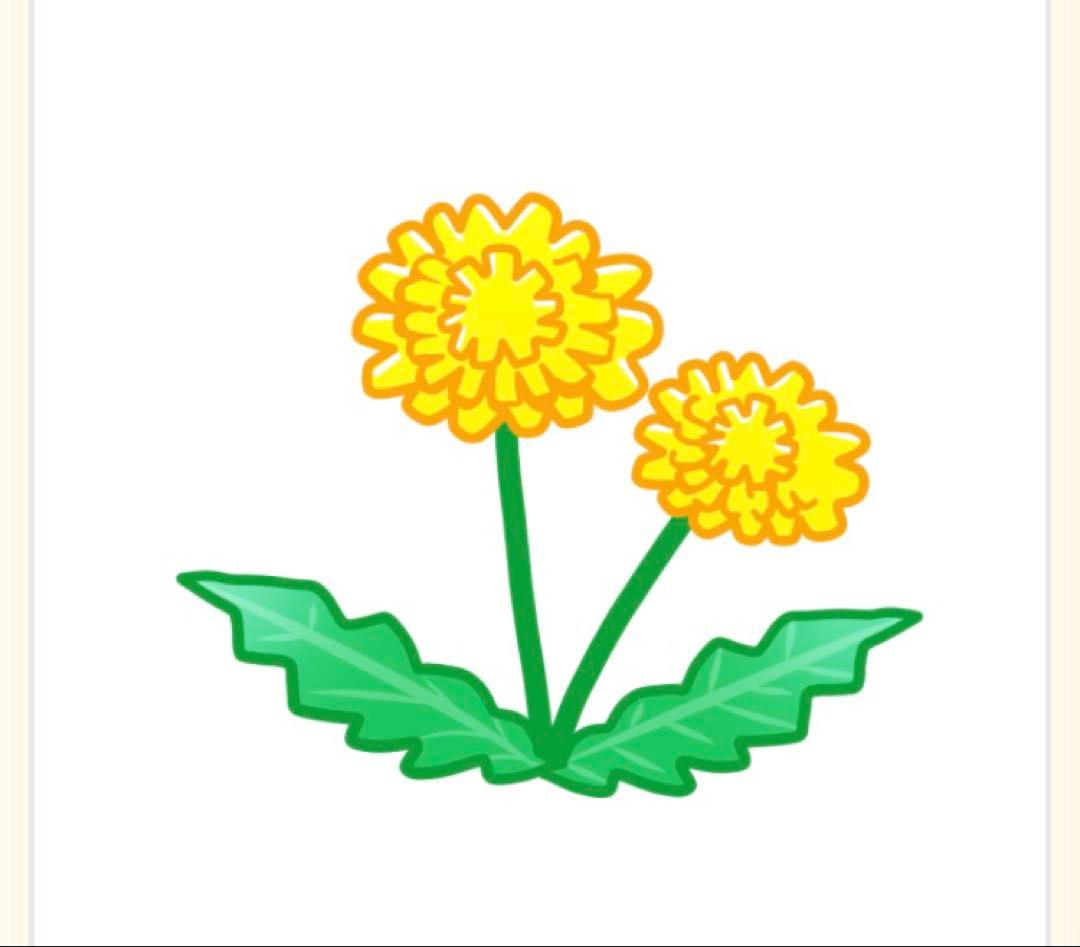 ≒JOY ニアジョイ 直筆 チェキ 江角怜音 市原愛弓 村山結香 小澤愛実