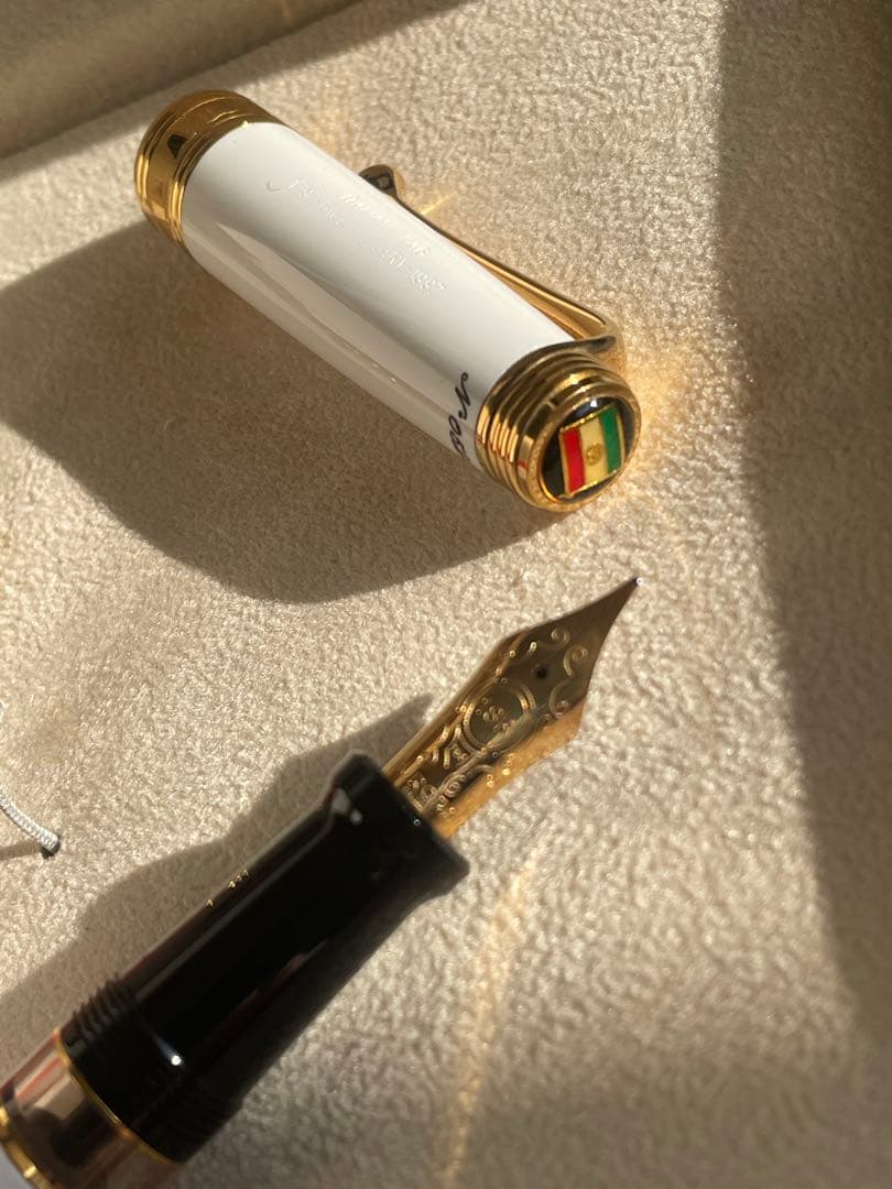 heyco様専用 万年筆アウロラ 新品イタリアン・フラッグ緑白赤3本