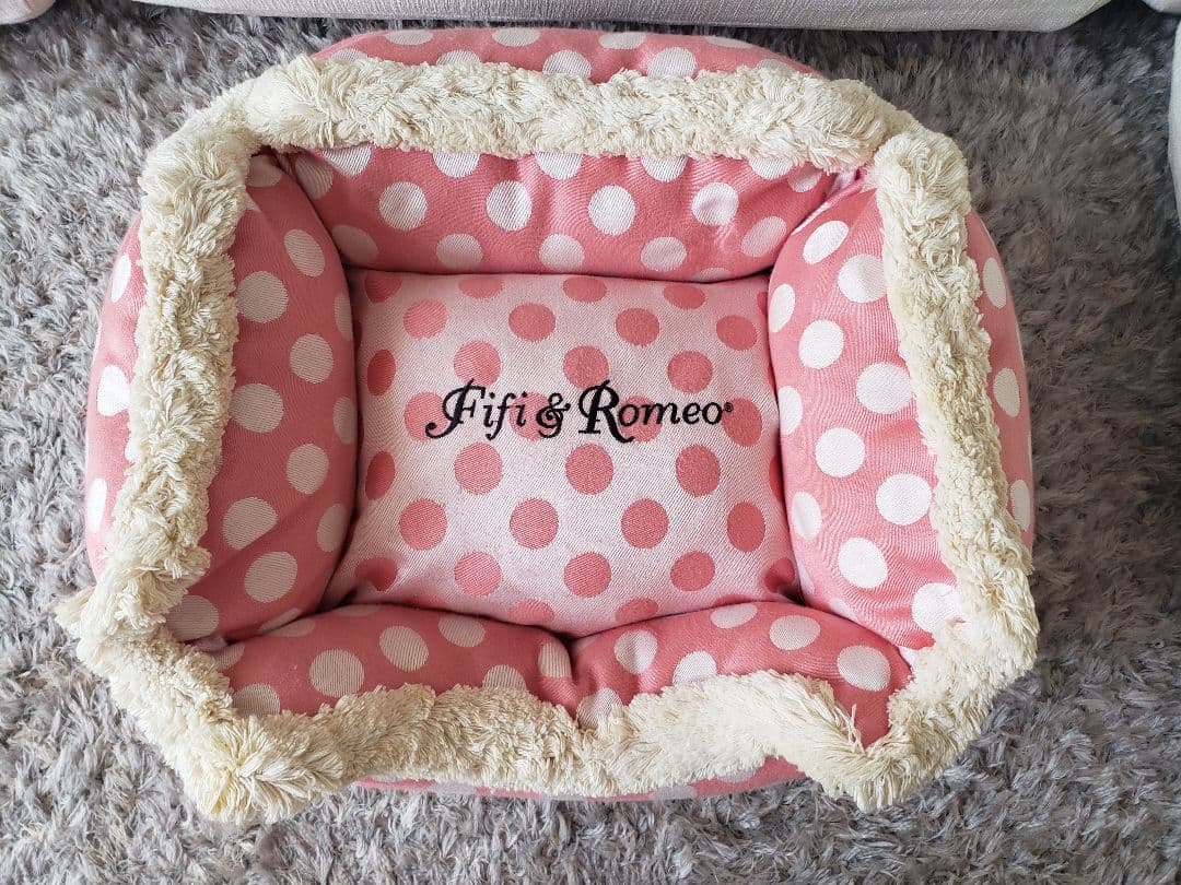 フィフィ＆ロメオ　カドラー　ベッド♡ 1933 FORD HI-BOY CUSTOM ROADSTER - Vehicle | Barrett-Jackson