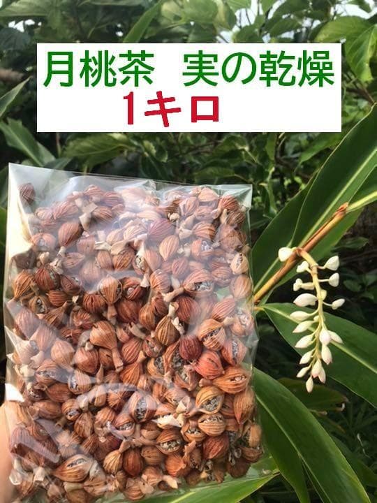石垣島産】 月桃の実・乾燥 1キロ ゆうパック発送 - メルカリ