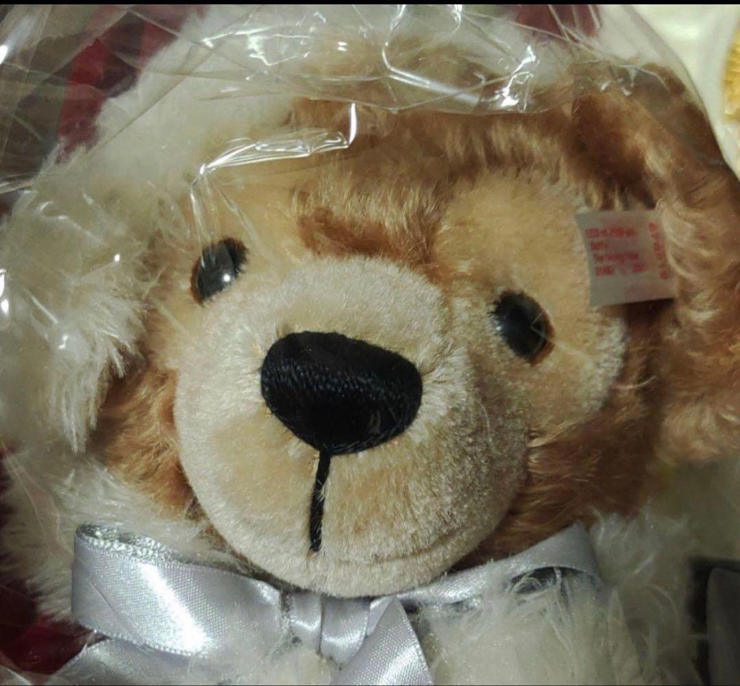 新品　ダッフィー　サンタクマ ぬいぐるみ ダッフルバッグ付き　クリスマス　限定