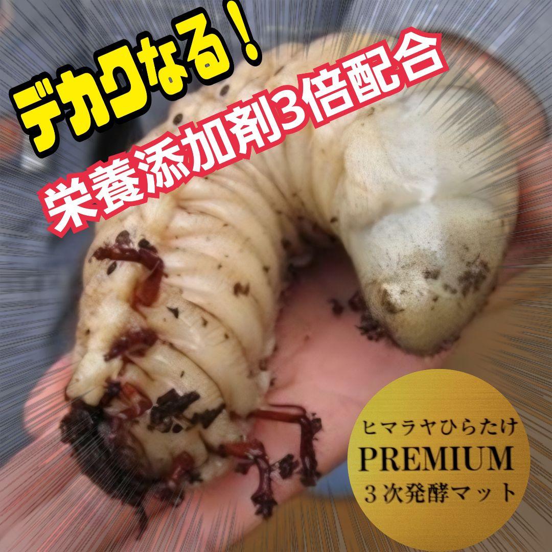 カブトムシ幼虫が巨大化！プレミアム3次発酵マット【70リットル】産卵