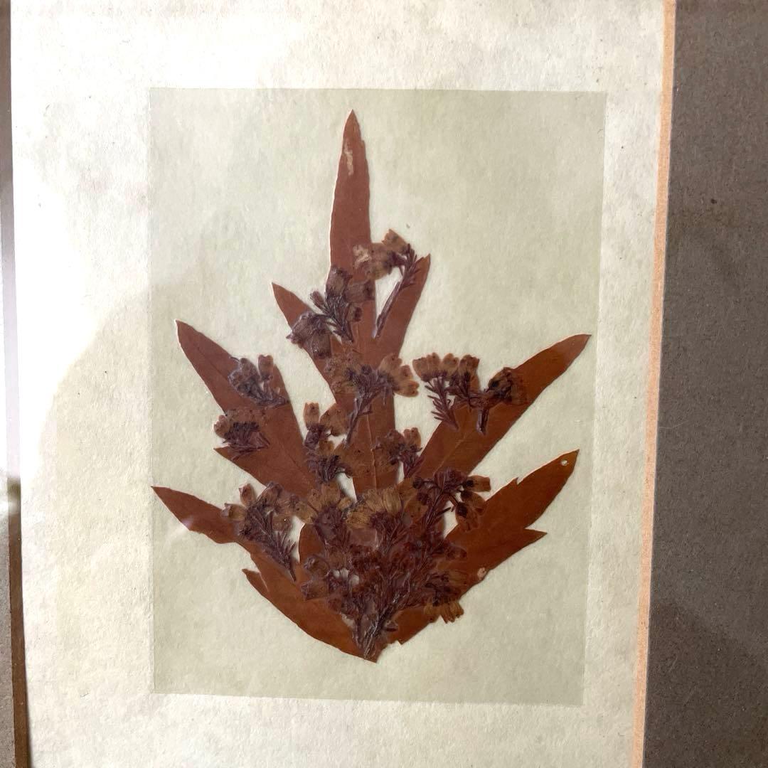 フランス製♡押し花アートフレーム♡幸せメッセージ入り♡ペア