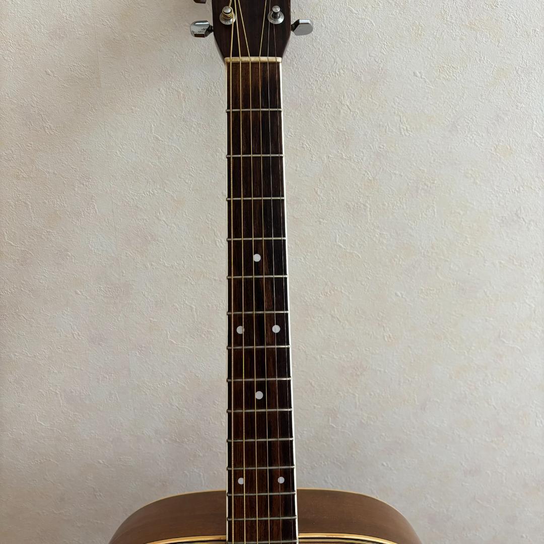 Morris　MD-505　アコースティックギター