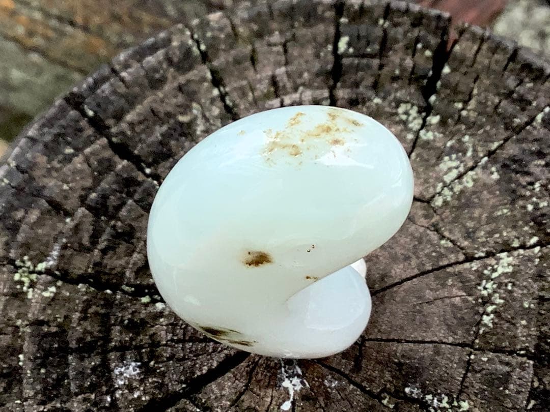 ✳今年2個目のトロトロ勾玉‼️ 酸化鉄入り糸魚川翡翠 抜群全面