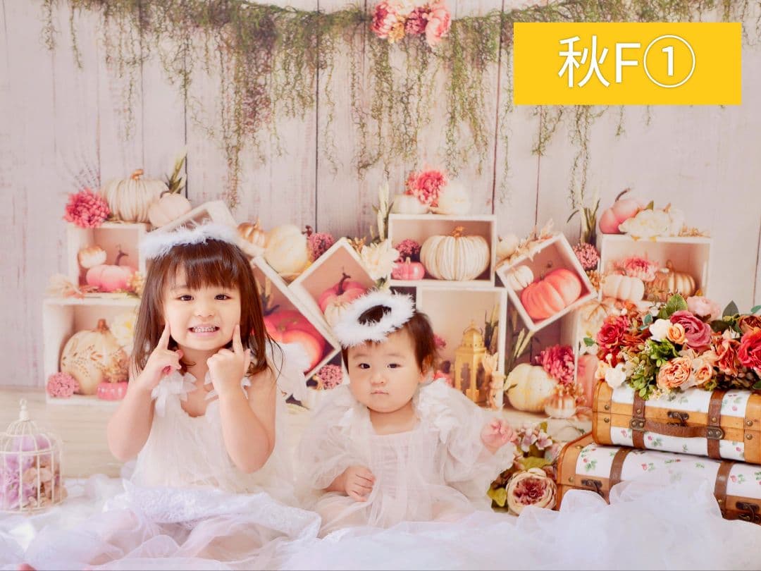 業務用トリミングチョーカー+背景布 ペット撮影用フォトブース ハロウィン