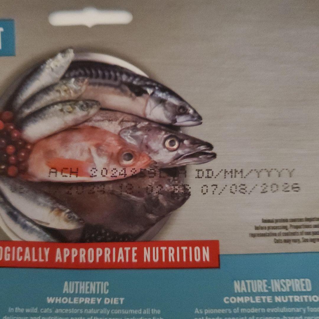 オリジン Origin シンドラキャット シックスフィシュキャット 猫用