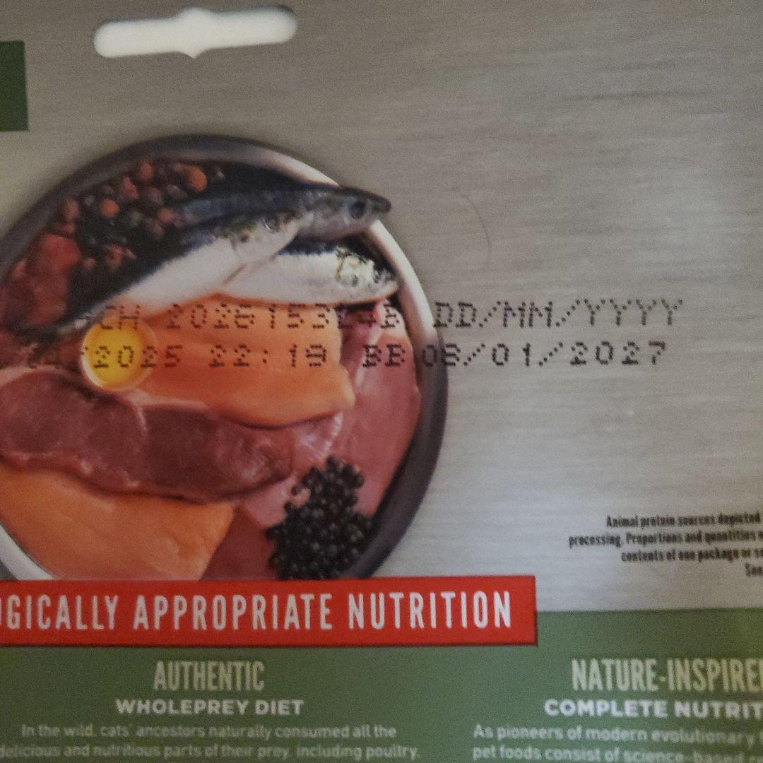 オリジン Origin シンドラキャット シックスフィシュキャット 猫用