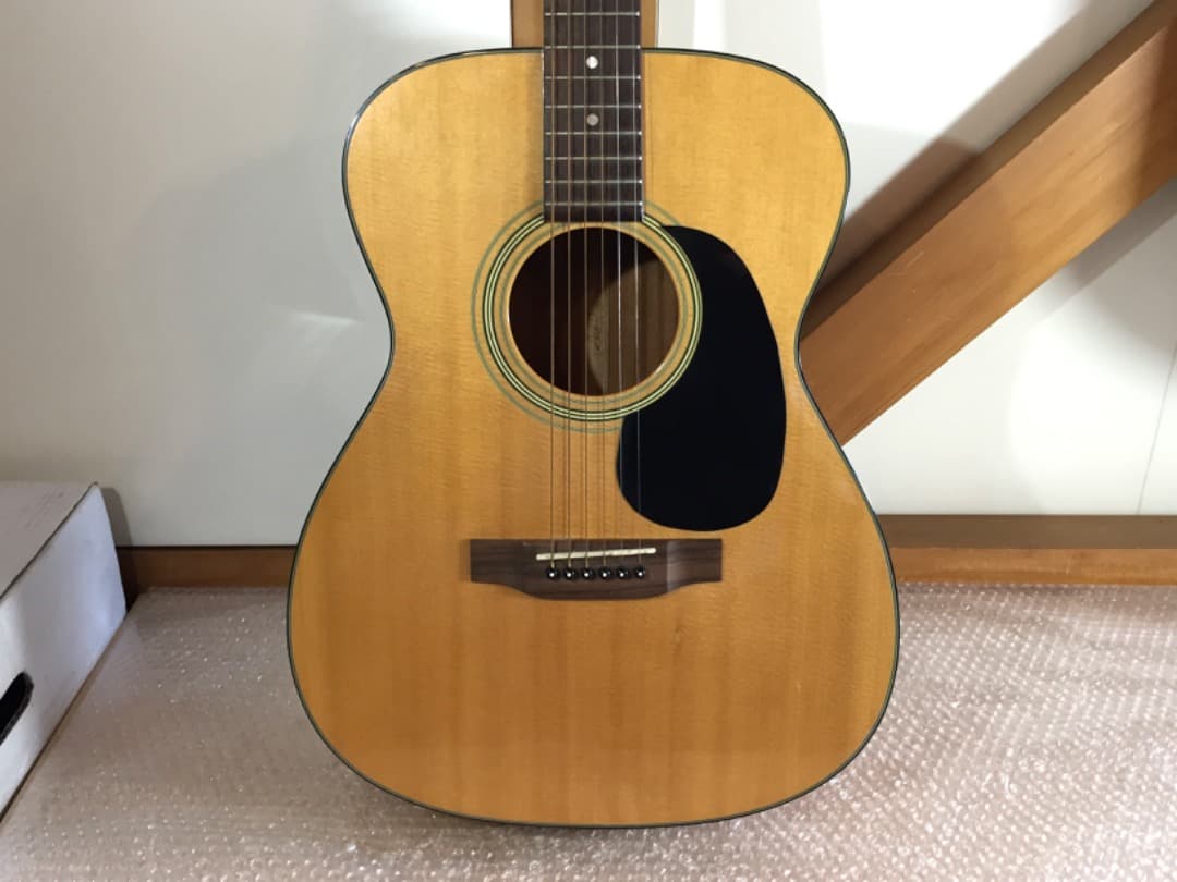 ○Aria Dreadnought アコースティックギター AF-25N ケース - メルカリ