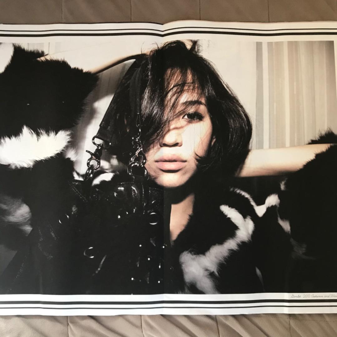 Gimlet 2010 カタログ　モデル　水原希子