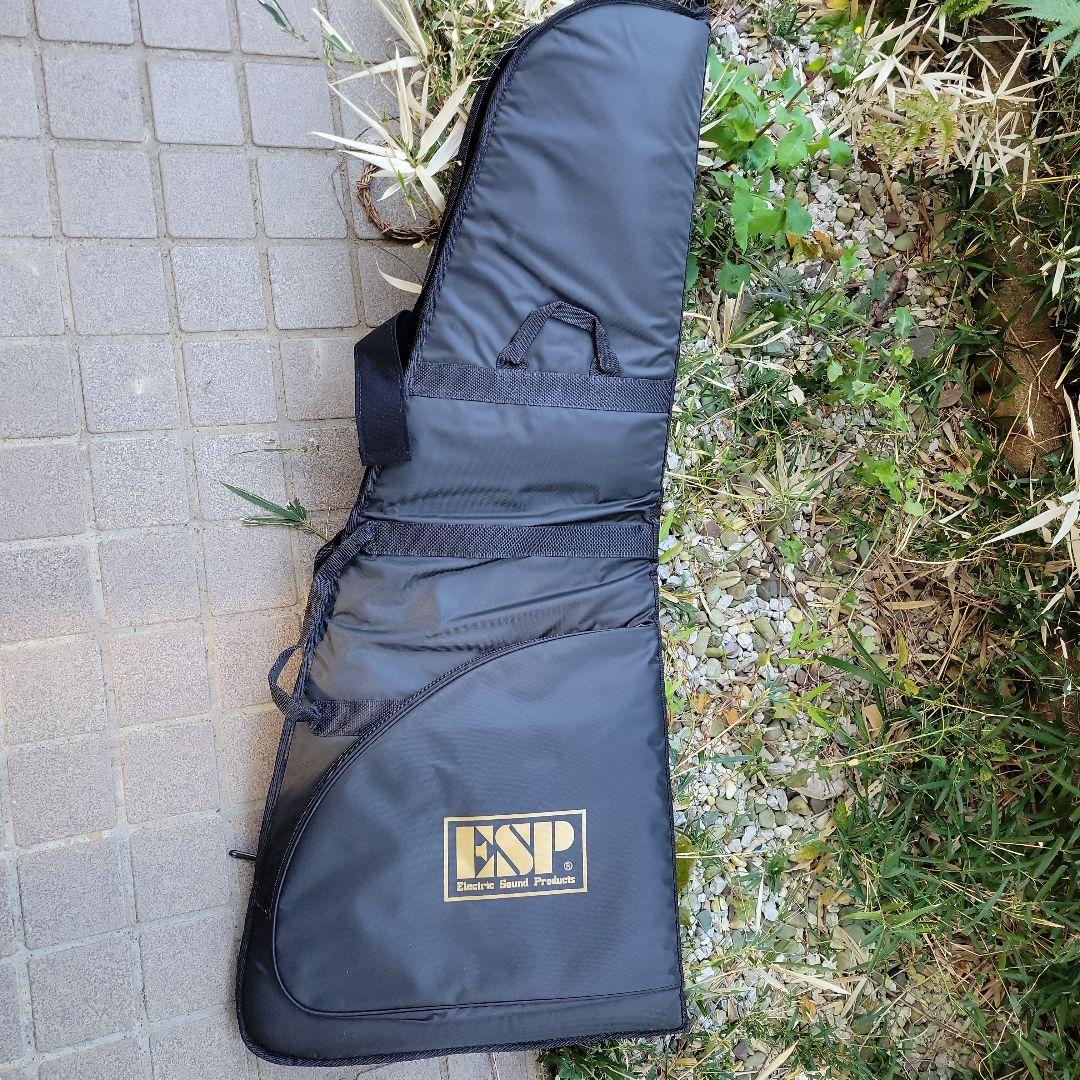 E-II Horizon NT-II グラデーションレッドオレンジ 6弦