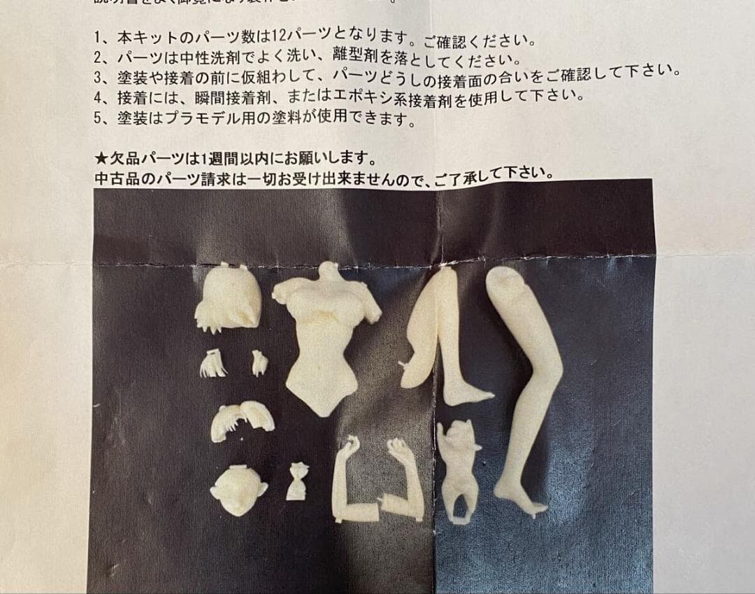 STUDIO ANGEL スーパーロボット大戦 クスハ ミズハ ガレージキット