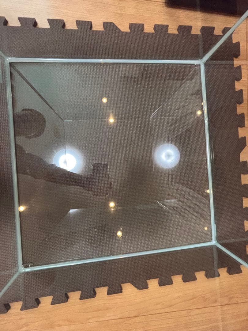 水槽 psychedelic aqua