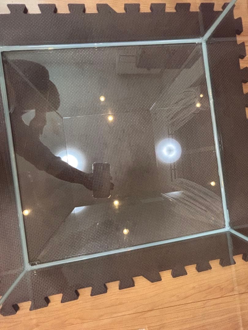 水槽 psychedelic aqua