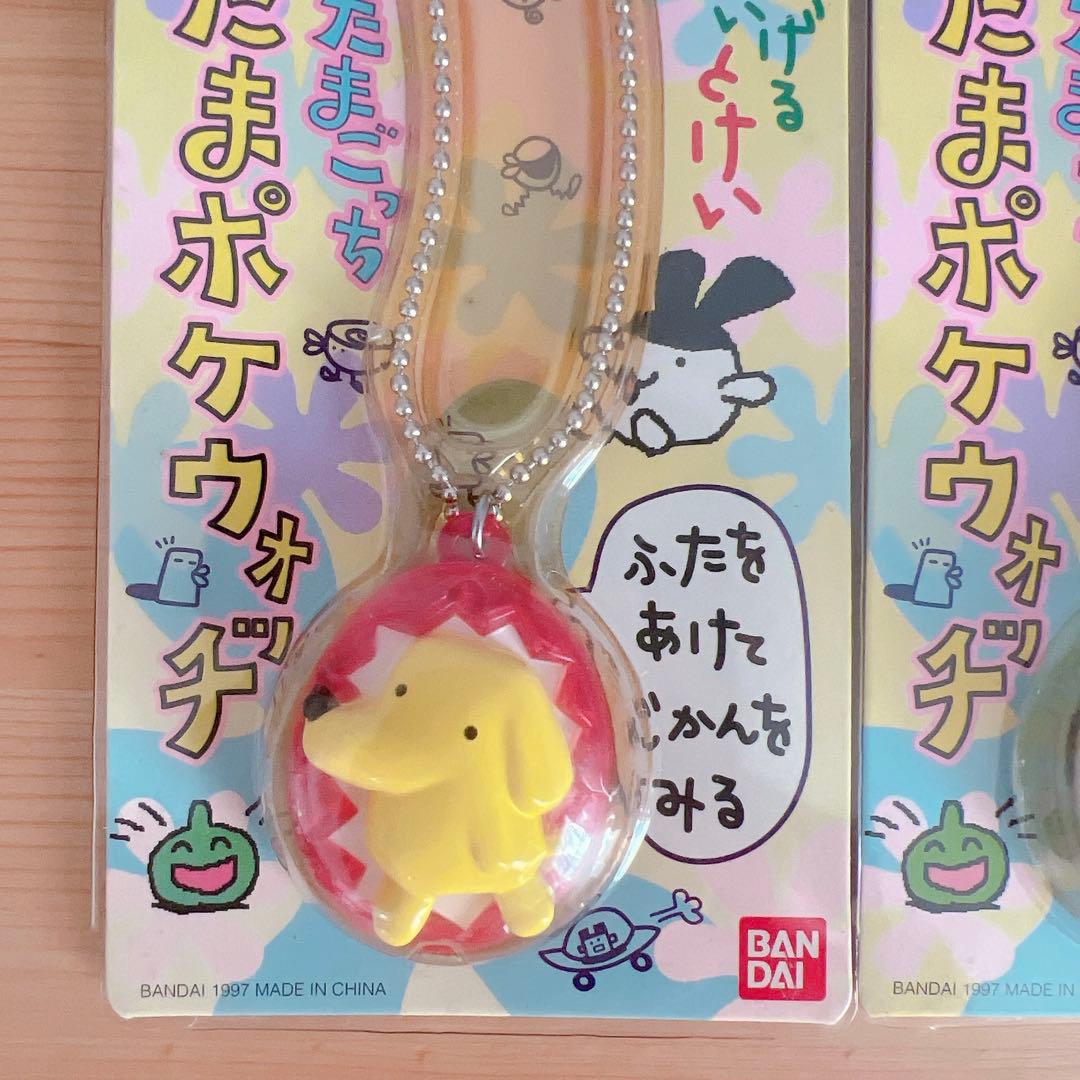 たまポケウォッチ ポチっち まめっち おやじっち