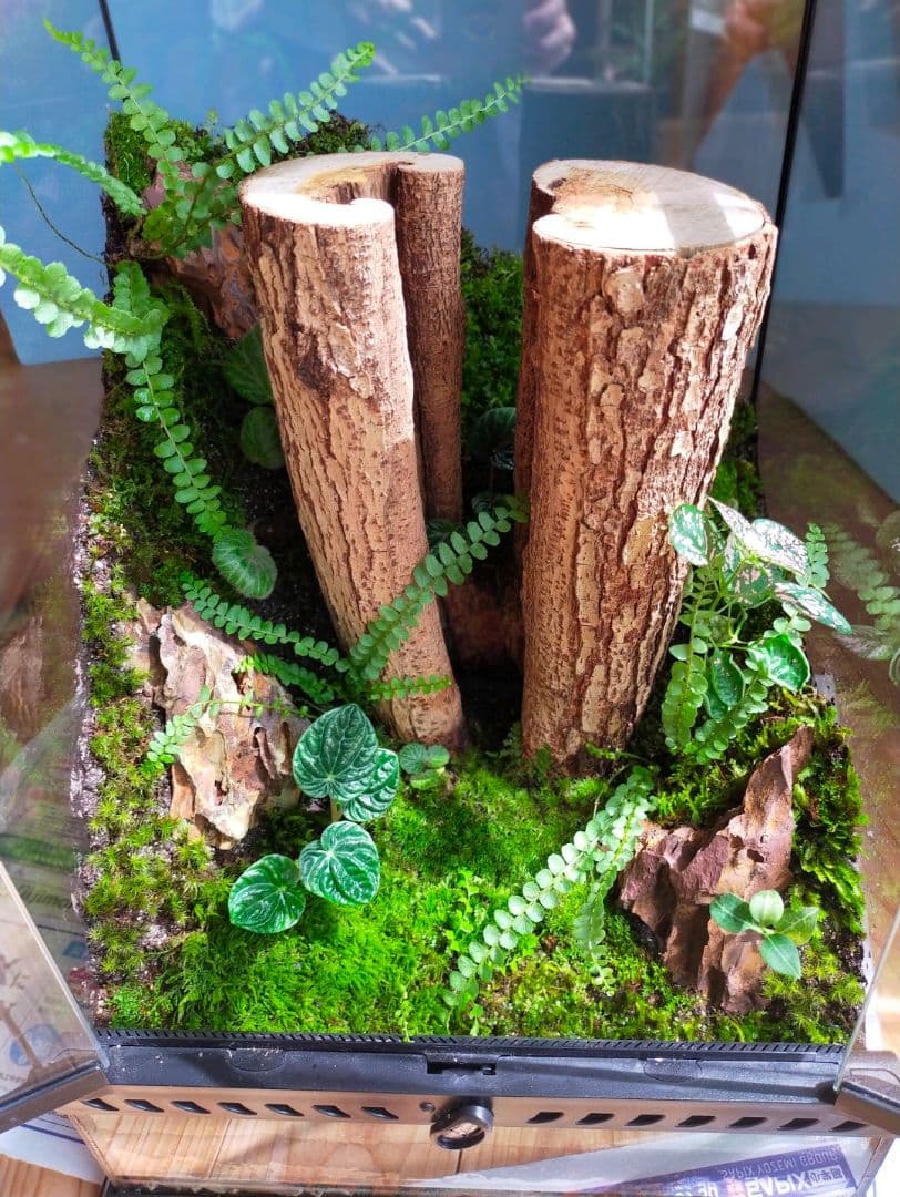 しょーきちページ