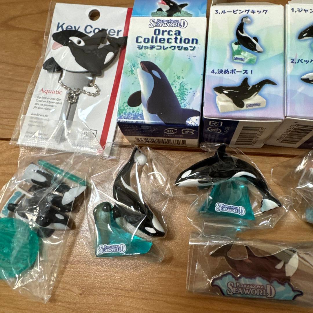 鴨川シーワールド　セット