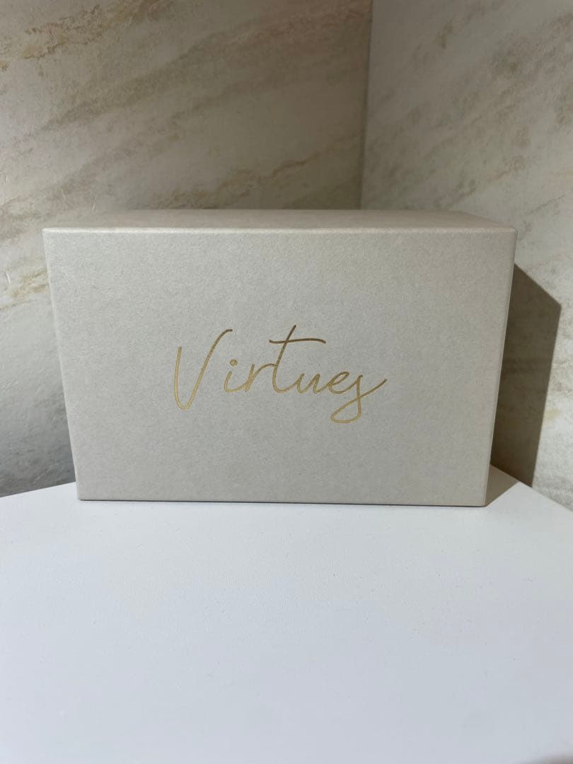 ギター VIRTUES Lander