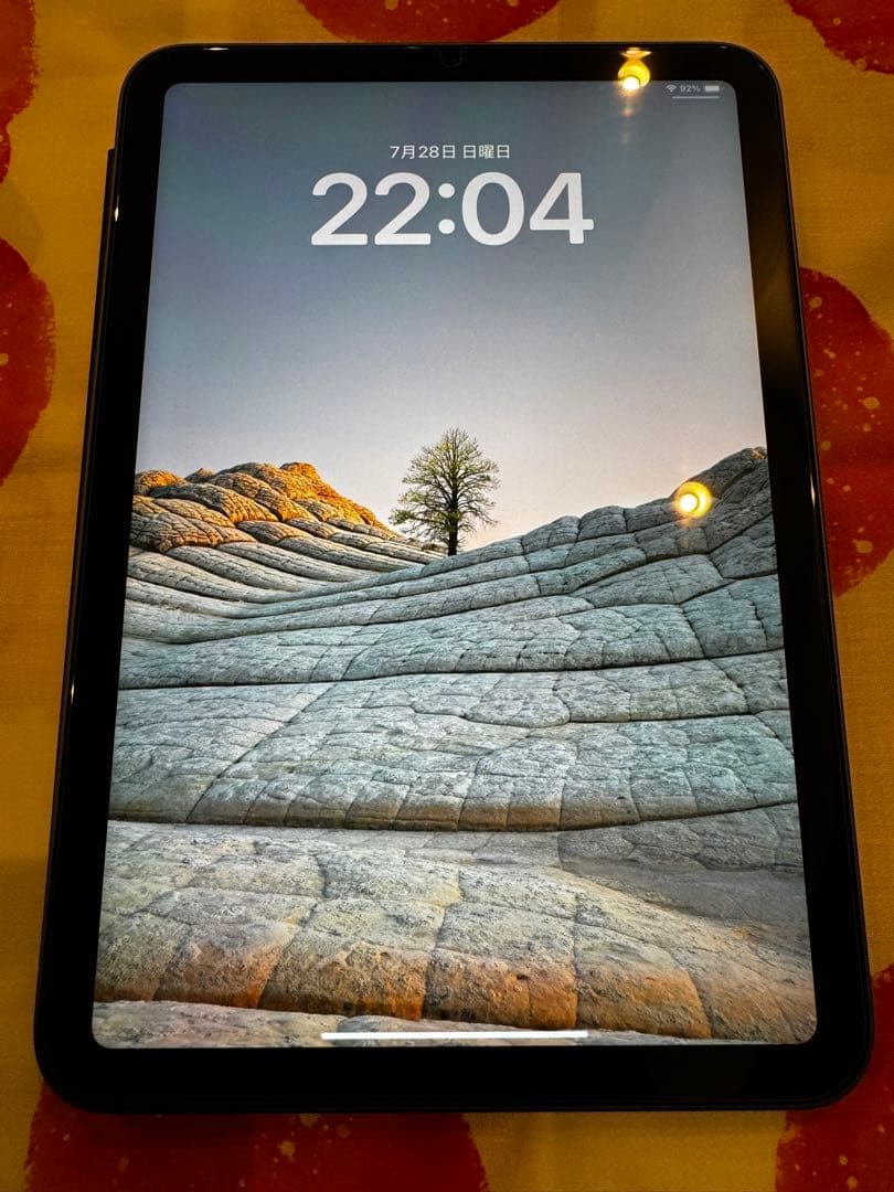 美品iPad mini 256gb 第6世代スペースグレイ