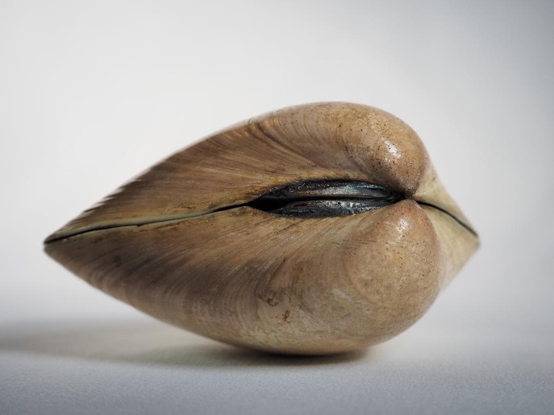 表千家12世惺斎宗左御書付・御好み『 梅蒔絵蛤香合』10代中村宗哲造（共箱）