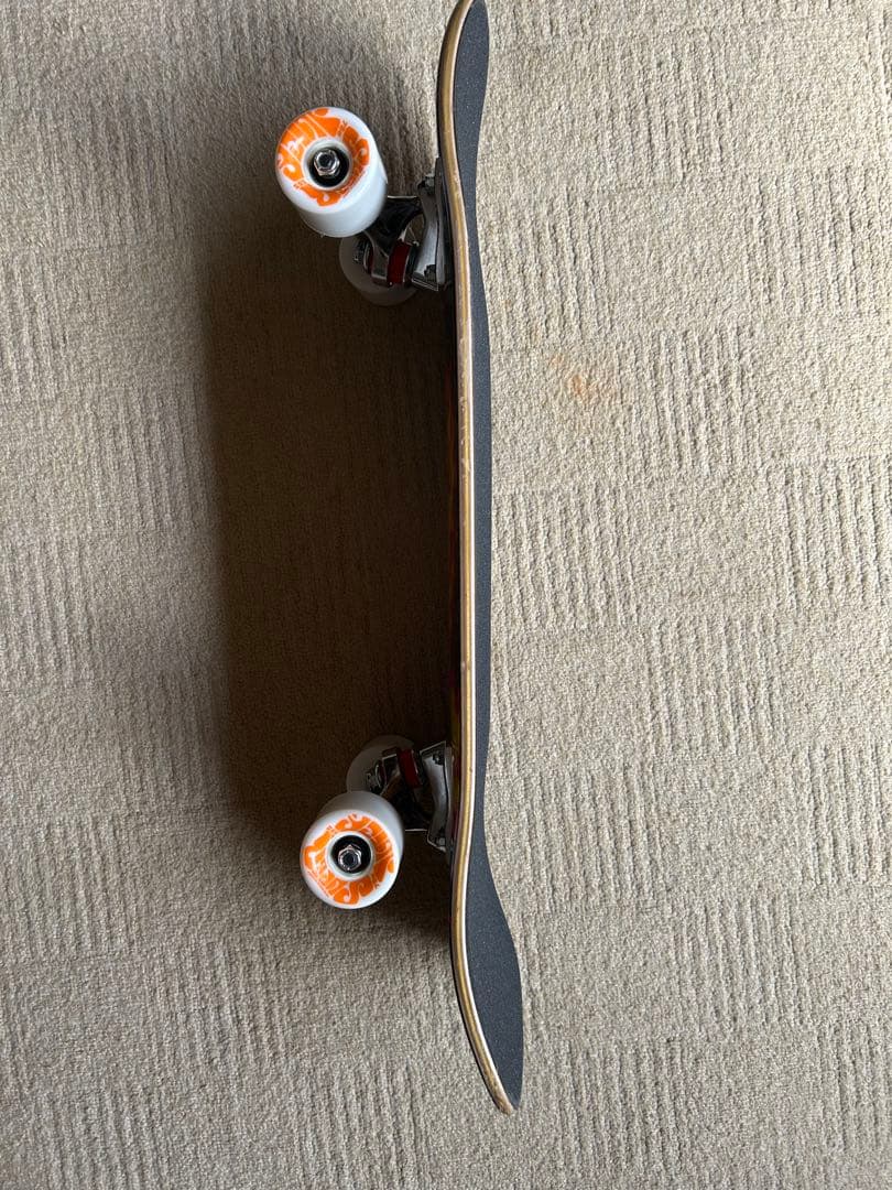 [SANTA CRUZ]サンタクルーズ　ミニクルーザー　コンプリート