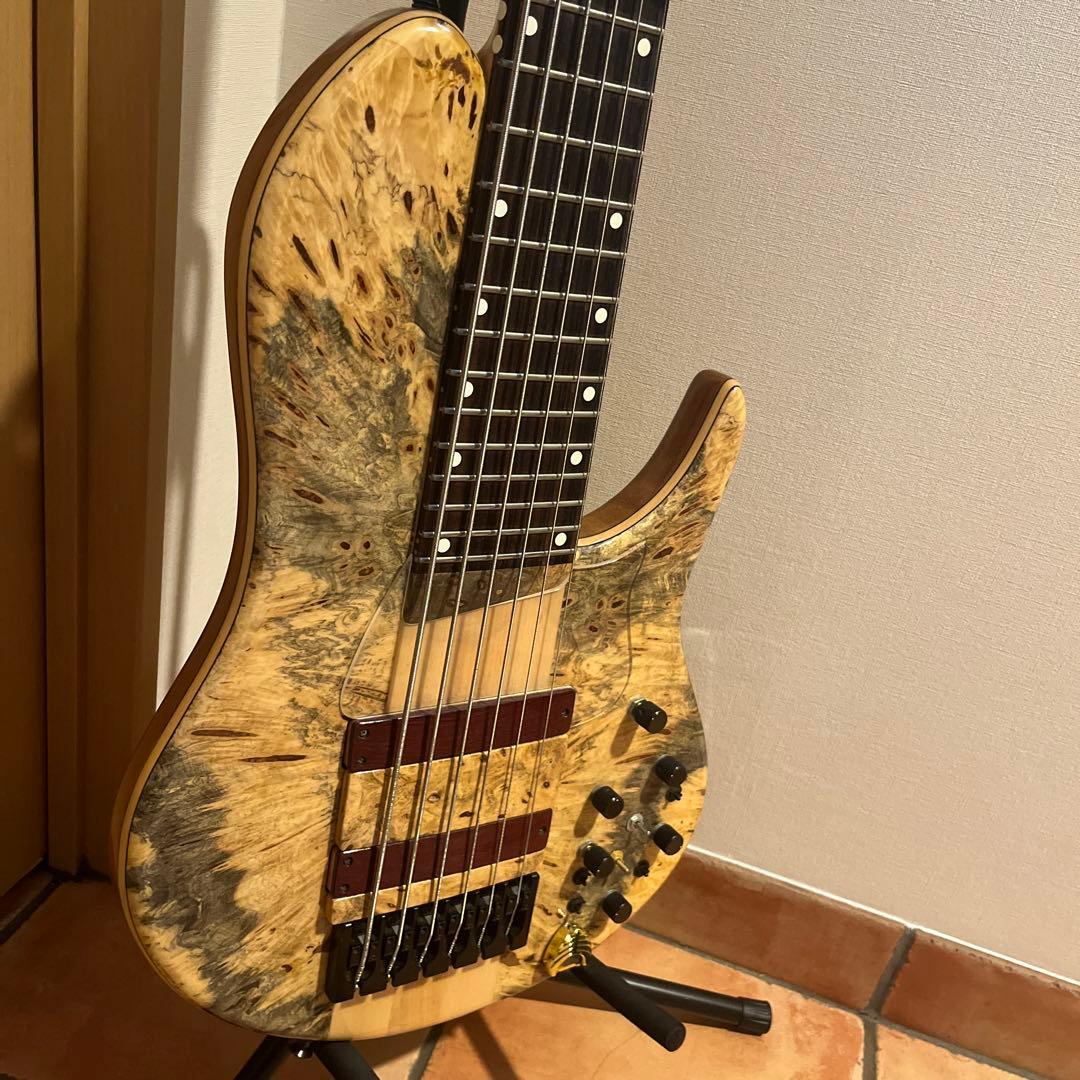 ベース Phoenix/PHS-6 SC Buckeye Burl Light 6 Buckeye Burl / Birdseye Maple