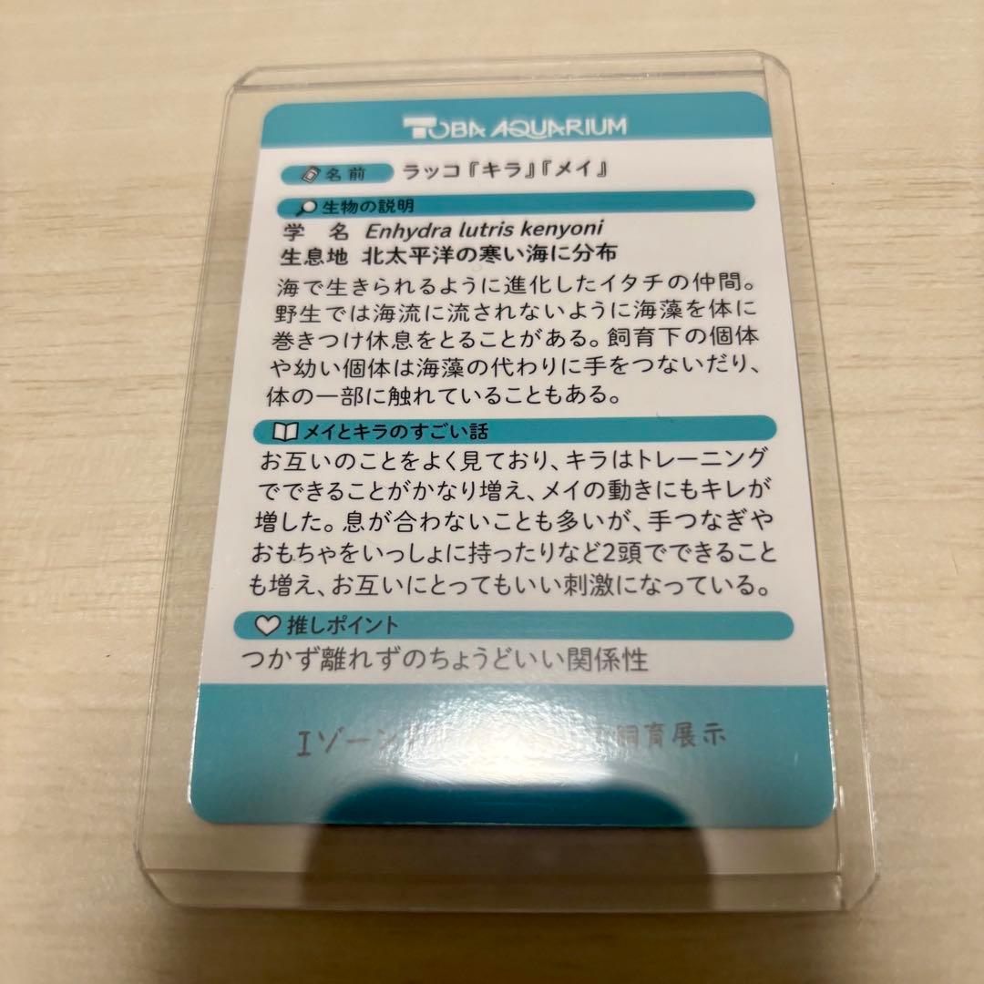 N*K様 鳥羽水族館 70周年 コレクションカード　レア　キラメイ