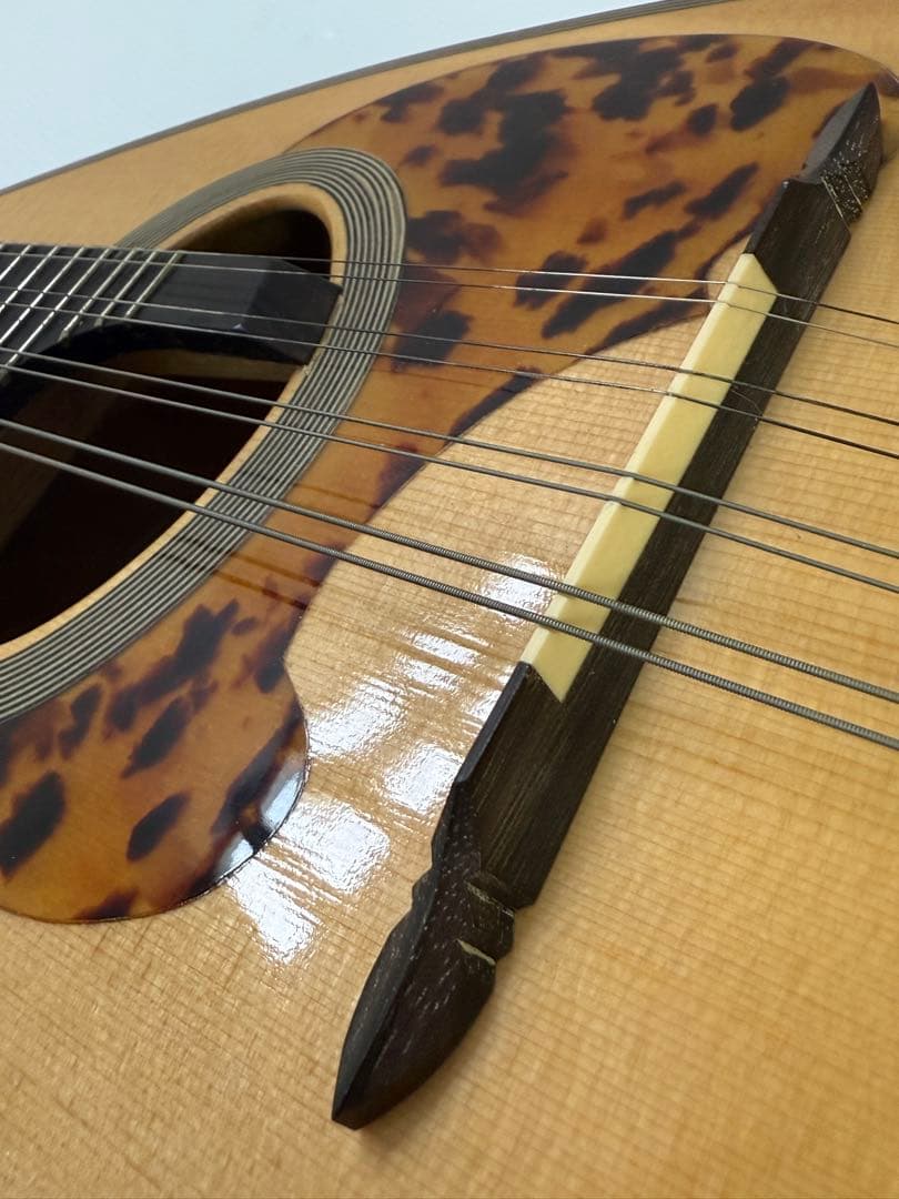 木曽鈴木 KISO SUZUKI マンドリン MR-500